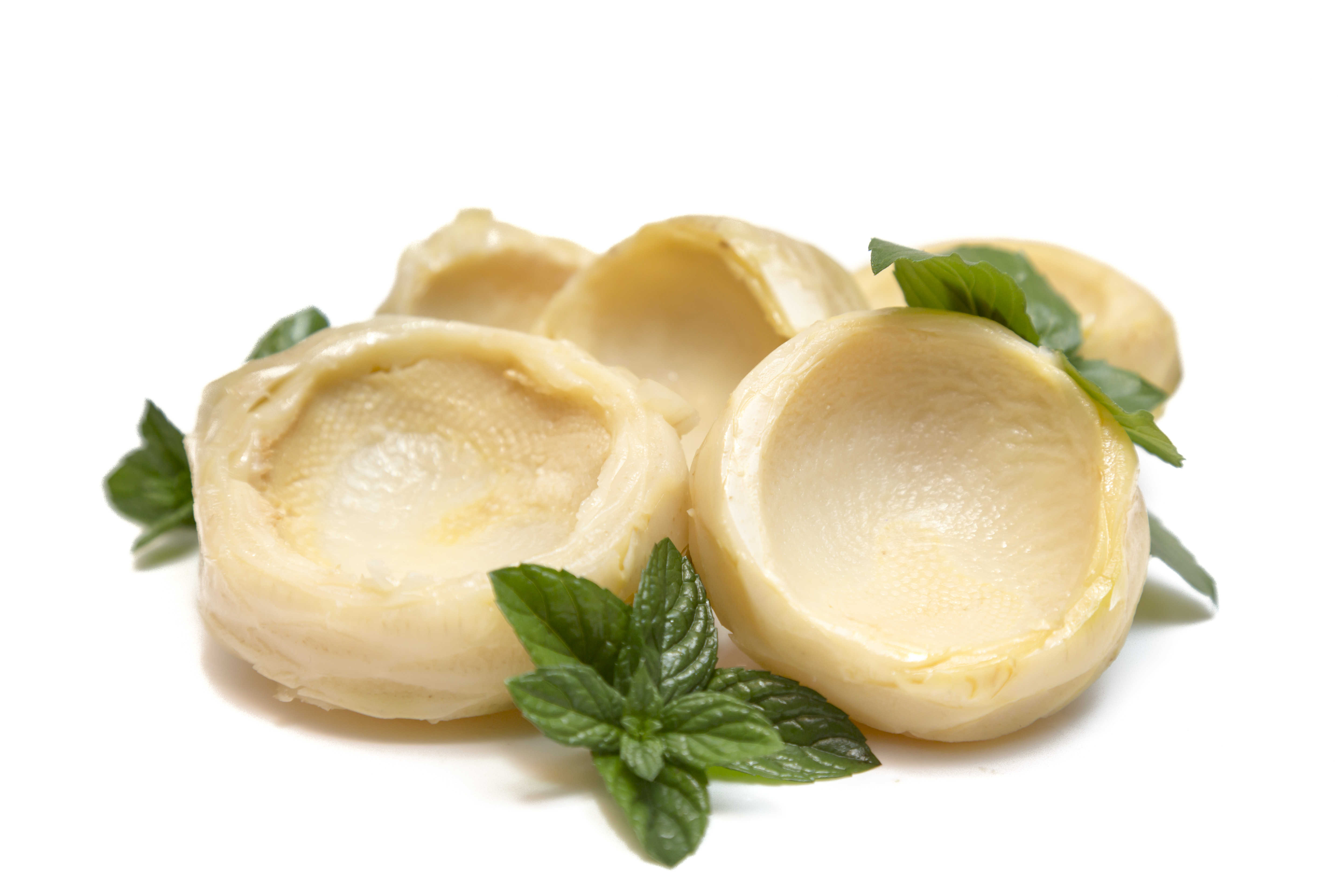 هسته آرتیشو(قلب)