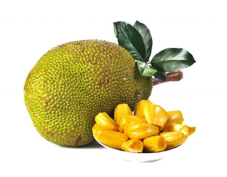 جک فروت
